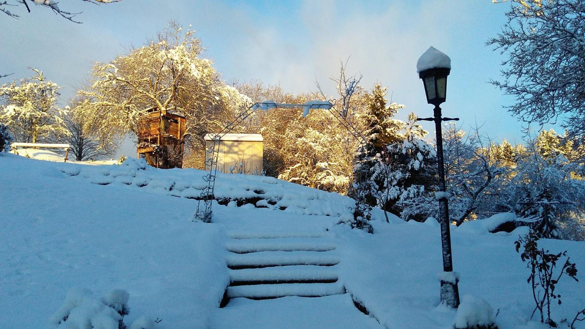 Ferienhaus Muelhaupt Ühlingen-Birkendorf Dış mekan fotoğraf