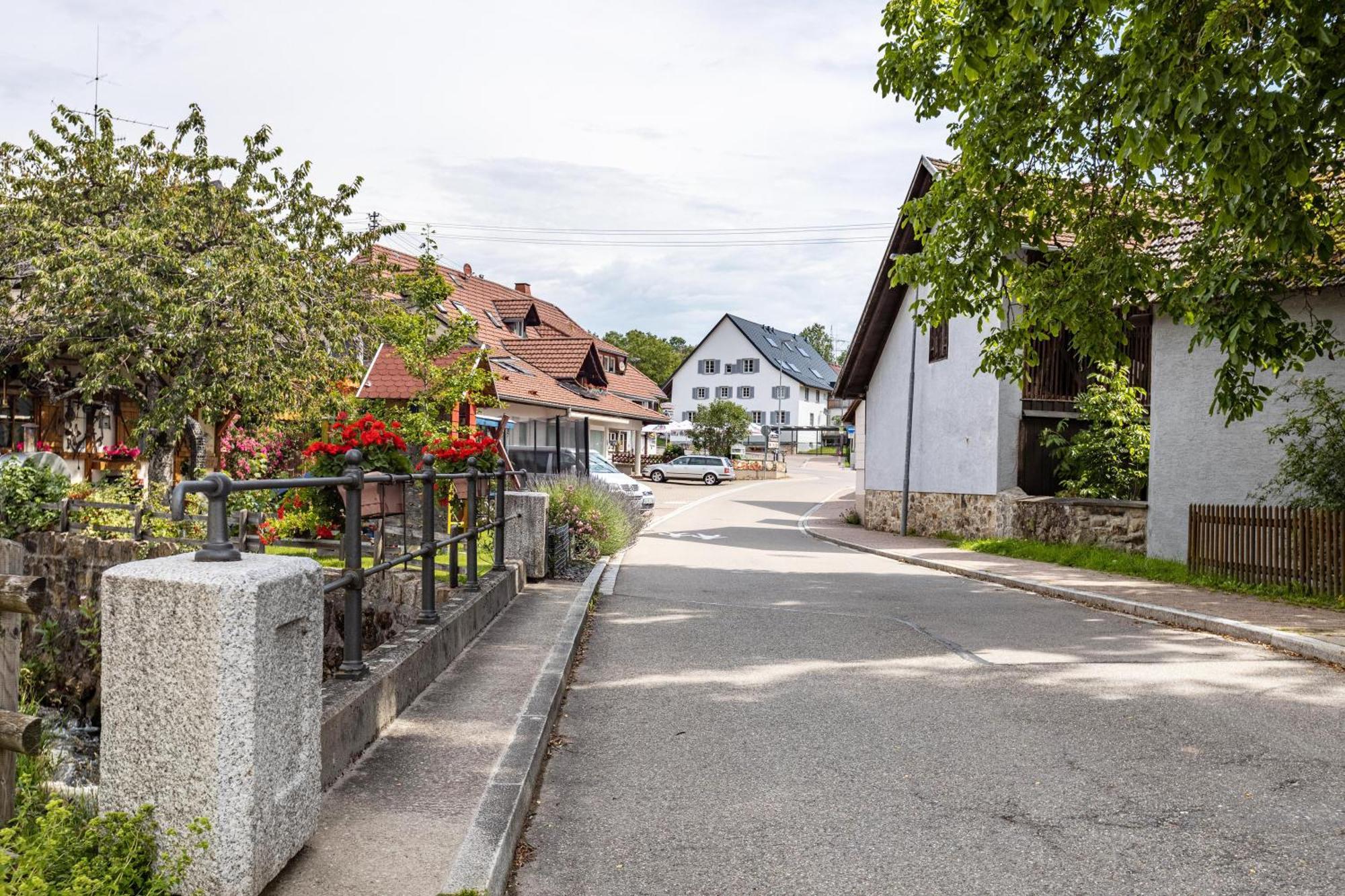 Ferienhaus Muelhaupt Ühlingen-Birkendorf Dış mekan fotoğraf